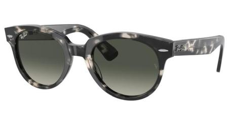Ray-Ban RB2199 133371 ORION