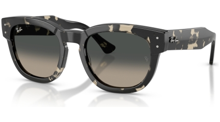 RB0298S 133371 MEGA HAWKEYE