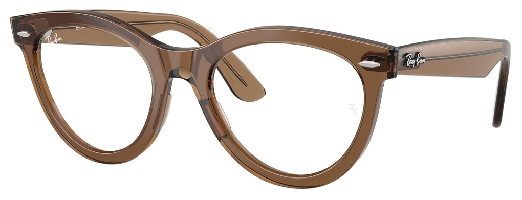 Ray-Ban RB2241V 8198